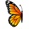 Matching butterfly - left wing 