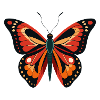 Papillon du Roi Kamehameha