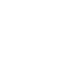 Vinyle