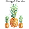 Pineapple Paradise