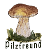Waldpilz Aquarell