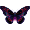 Papillon néon holographique