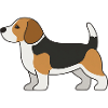 Beagle Farbblock-Illustration