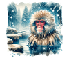 Schneeaffe Geschenk