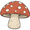 TINY ACTIVISTS | Pilz