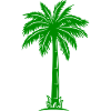 Grüne Palmen Silhouette