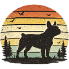 Sonnenuntergangs-Wildhund Silhouette