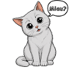 Miau? - Wie süß kann man sein?!