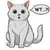 Wondered Cat Comic
