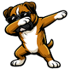 Boxer en mode comic