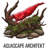 Aquascape Architekt - Red Sakura Garnele