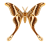 Hercules Moth Coscinocera hercules Cartoon-Stil