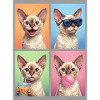 Cats Devon Rex Cat