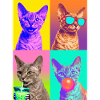 Cats Devon Rex Cat