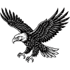Eagle Bird in Flight Mode