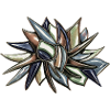 Kaleidoskop Schnittblume