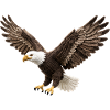 Kraftvoller Adler im Flug Vogel