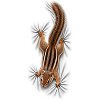 Streifenhörnchen auf dem Shirt