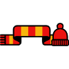 Fanschal Muetze Stadion Logo