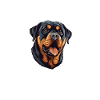 Rottweiler Therapy Dog