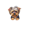 Yorkshire Terrier Therapy