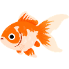 Komet-Goldfisch-Cartoon-Splash