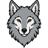 Grauer Wolf Kopf Wildnis Natur Tier