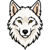 Polarwolf Kopf Arktis Wildnis Natur