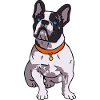 French Bulldog Lover