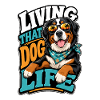 Berner Sennenhund