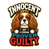 Kavallerier King Charles Spaniel
