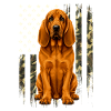 Bloodhound Tarnung US-Flagge – Jagdhund-Vater