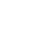 Allgäu Kuh
