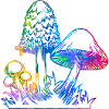 Mixed Rainbow Mushrooms