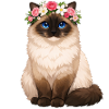 Birma Katze
