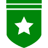 Abzeichen Stern