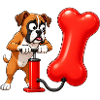Boxerhund pumpt riesigen Knochenballon