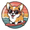 Corgy Surfer