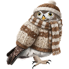 Eule im Strickpullover Vogel Weihnachten Gemütlich