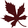 Rotes Ahornblatt Silhouette