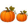 Kürbisduo Herbstdesign