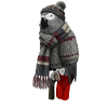 Graupapagei in Strickpullover Winter Weihnachten