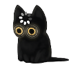 Schwarze Katze mit leuchtenden Augen