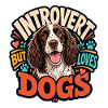 Englischer Springer-Spaniel