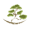  Baum Kunst japan japanisch asiatisch