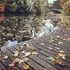 Herbstpfad am Wasser