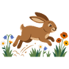 Hase im Frühlingsfeld