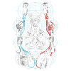 Industriekletterer Höhenarbeiter