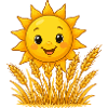 Lachende Sonne über Weizenfeld