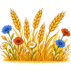 Goldenes Weizenfeld mit Wildblumen